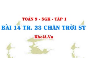 Bài 14 trang 23 Toán 9 Chân trời sáng tạo Tập 1
